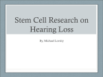 Stem Cell Research on Hearing Loss