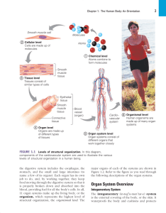 Organ System Overview