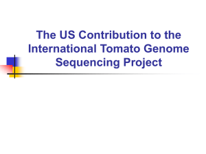 The International Tomato Sequencing Project and Related