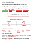 2.2 READING answers