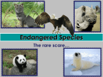 Endangered Species