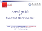 The Canine Spontaneous Model for Breast Cancer