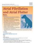 atrial_fibrillation_and_atrial_flutter