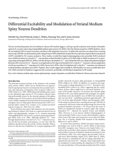 Differential Excitability Modulation of Striatal Medium Neuron
