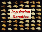Population Genetics Notes