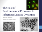 The Role of Environmental Processes in Infectious Disease Dynamics