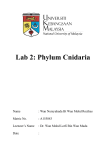 Lab 2: Phylum Cnidaria
