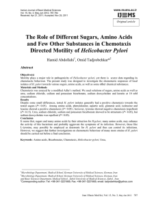 The Role of Different Sugars, Amino Acids and Few Other