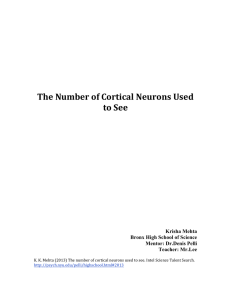 The Number of Cortical Neurons Used to See