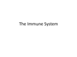 The Immune System File
