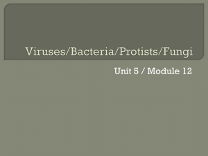 Viruses/Bacteria/Protists/Fungi - Butler Biology