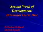 Second Week of Development: Bilaminar Germ Disc