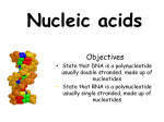 Two types of nucleic acids
