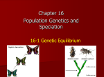 16-1 Genetic Equilibrium