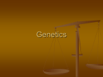 Unit 8 - Genetics