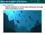 8.0-Other Mechanisms of Evolution
