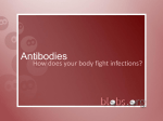 Antibodies - blobs.org