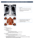 Anatomy 3: heart, pericardium, coronary vessels