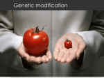 Gene Technology PowerPoint