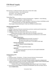 Internal Carotid Arteries (80%)