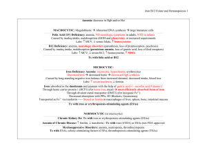 Iron B12 Folate and Hematopoiesis Anemia: decrease in Hgb and/or