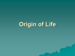 Origin of Life Power Point