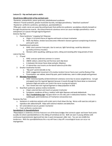 Lecture 21 – hip and back pain in adults Should know differentials