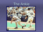 The Ankle - Northern Highlands