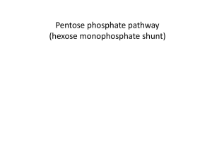 Pentose phosphate pathway (hexose monophosphate shunt)