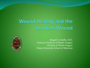 The Principles of Wound Healing