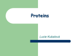 proteinskubalova
