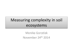 Measuring complexity in soil ecosystems
