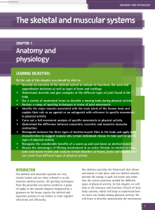 Chapter 1: The Skeletal and Muscular Systems