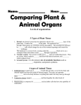 plant animal 13-14