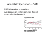 Allopatric Speciation*Drift