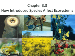 Chapter 3.3 How Introduced Species Affect Ecosystems