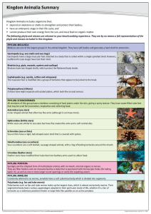Kingdom Animalia Summary - Perth Beachcombers Education Kit