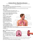 Respiratory System Review