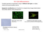 ppt - Chair of Computational Biology