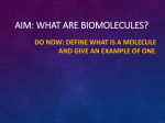 AIM: What are Macromolecules?