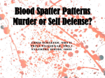 Blood Spatter Patterns wo vid-1