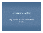 Circulatory System Structures, Functions, and Disorders