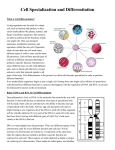 Specialized Cells Information Page File