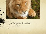 Chapter 9 review