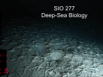 History of Deep Sea Biology - Monterey Bay Aquarium Research