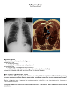 Pulmonary notes - Sinoe Medical Association