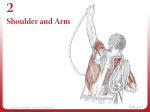 Chapter 2 - Shoulder and Arm