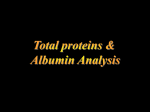 Serum Total Protein