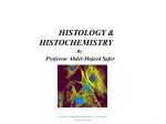 Chapter 1 Histology and its methods of study