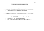 Python Socket Programming